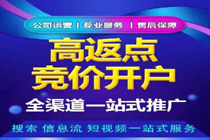 百度竞价赚钱秘诀：实战案例分析